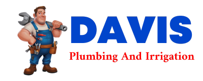 Trusted plumber in WANN